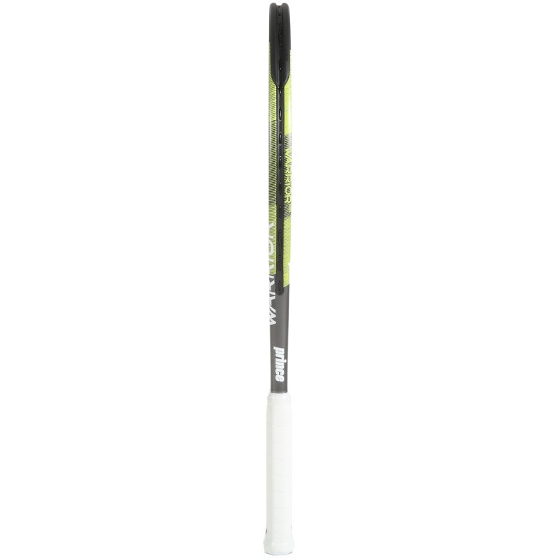 prince warrior 100 300g