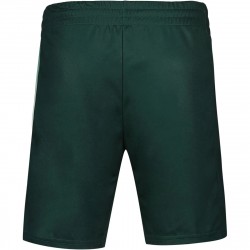 Achat Short Le Coq Sportif Performance New York Vert