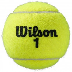 Prix BiPack de 4 Balles Wilson Roland Garros Terre Battue
