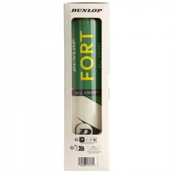 Achat Bipack de 4 Balles Dunlop Fort All Court