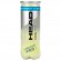Tube De 3 Balles de Padel Head Padel Pro +